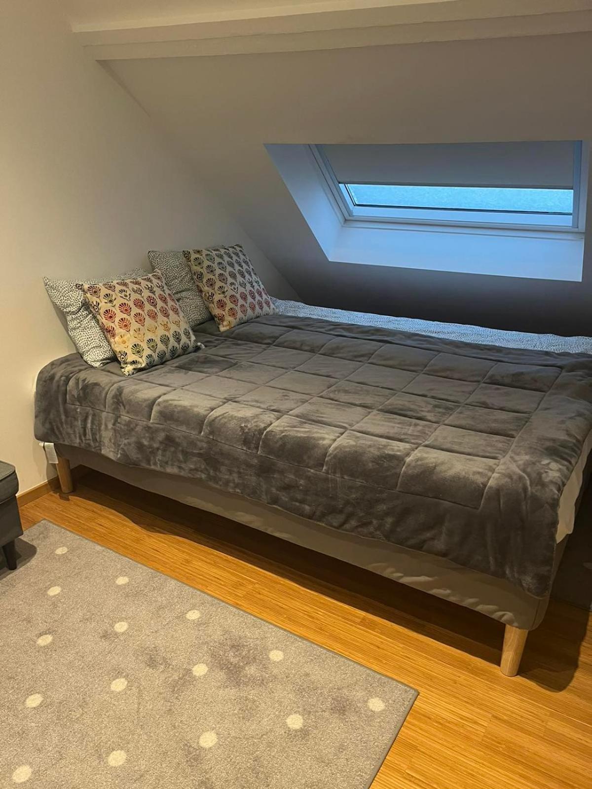 Au Marolles Chambre Atomium Bruxelles Eksteriør billede